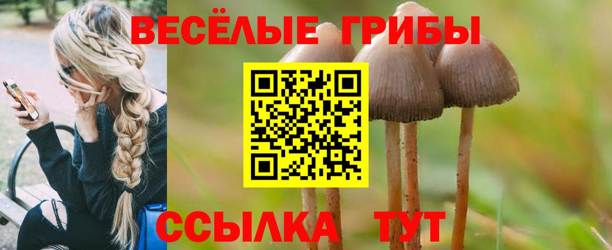 Псилоцибиновые грибы GOLDEN TEACHER  Вход с VPN  Галлюциногенные грибы Psilocybine cubensis  Хасавюрт 
